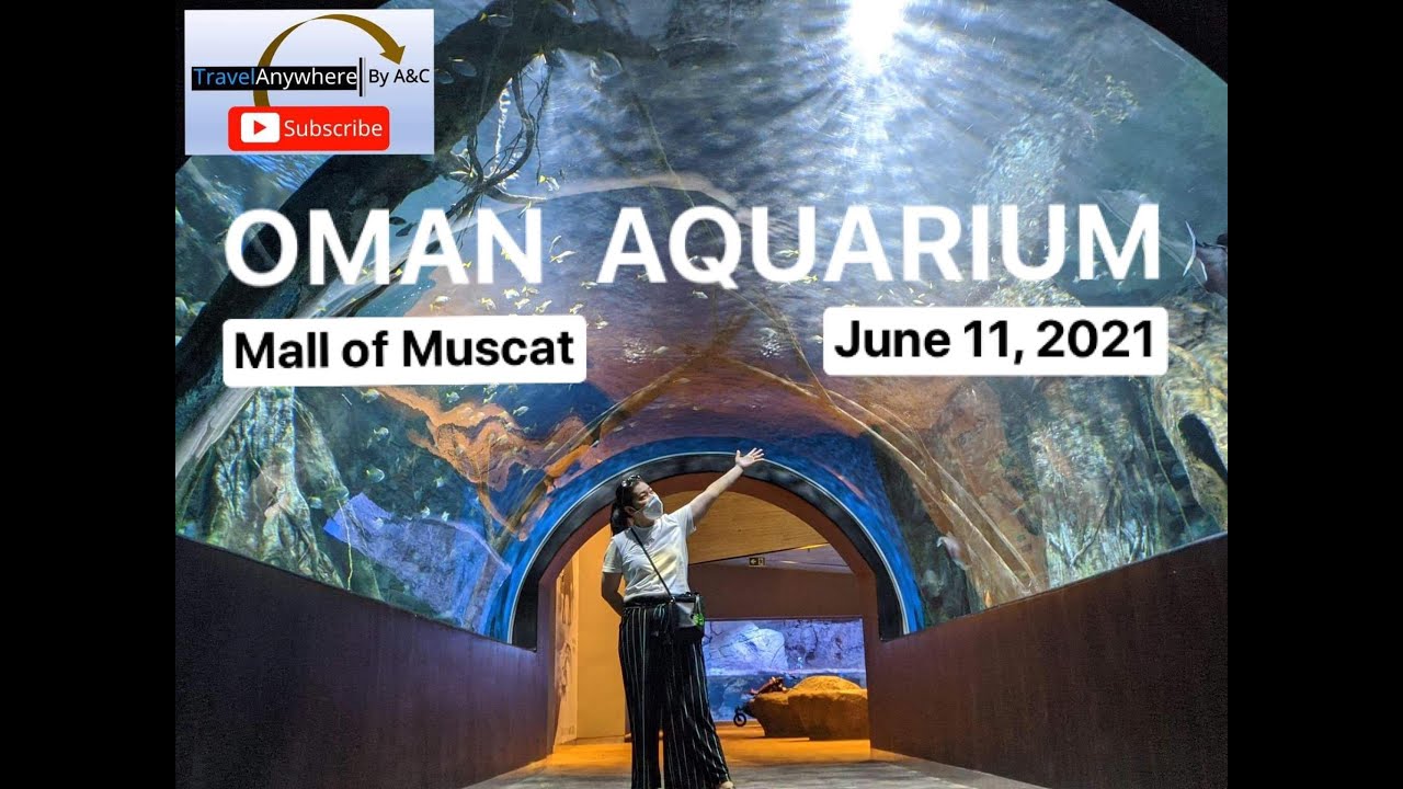 OMAN AQUARIUM | MUSCAT MALL | SEA CREATURES | BIGGEST AQUARIUM IN THE MIDDLE EAST #omanaquarium