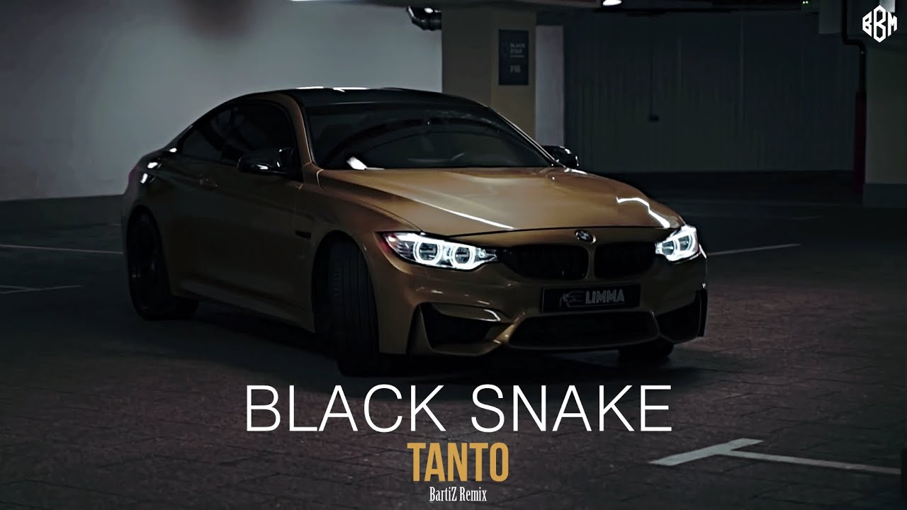 Tanto, BartiZ - Black Snake (BartiZ Remix 2022)