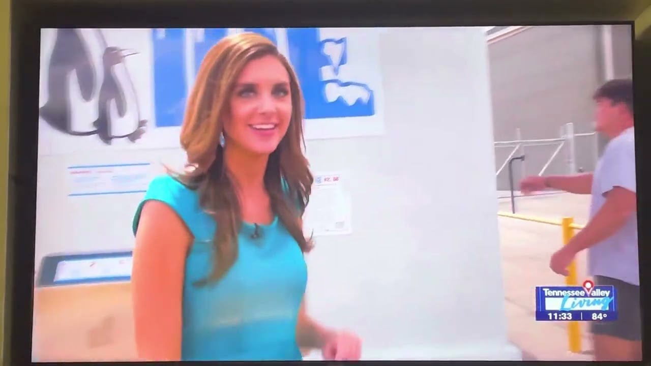 Twice the Ice vending - Cagle Ice - Huntsville, Athens, HazelGreen, Merdianville, Gurley