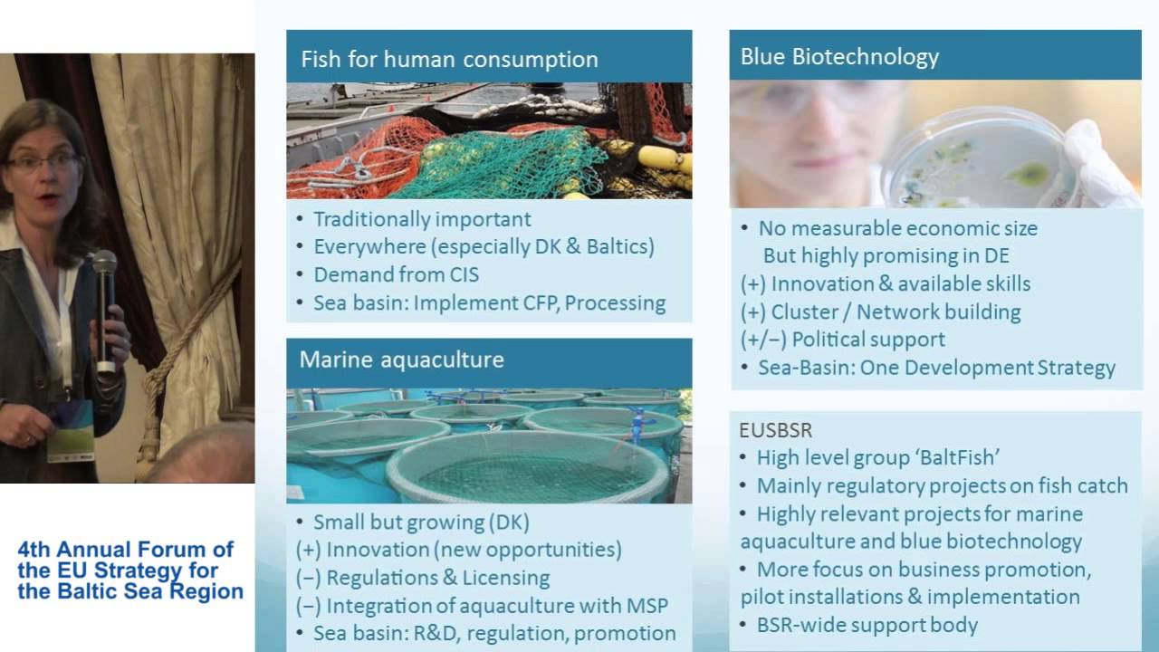 ANGELA SCHULTZ-ZEHDEN - &bdquo;Study on Blue Growth, Maritime Policy and the EUSBSR