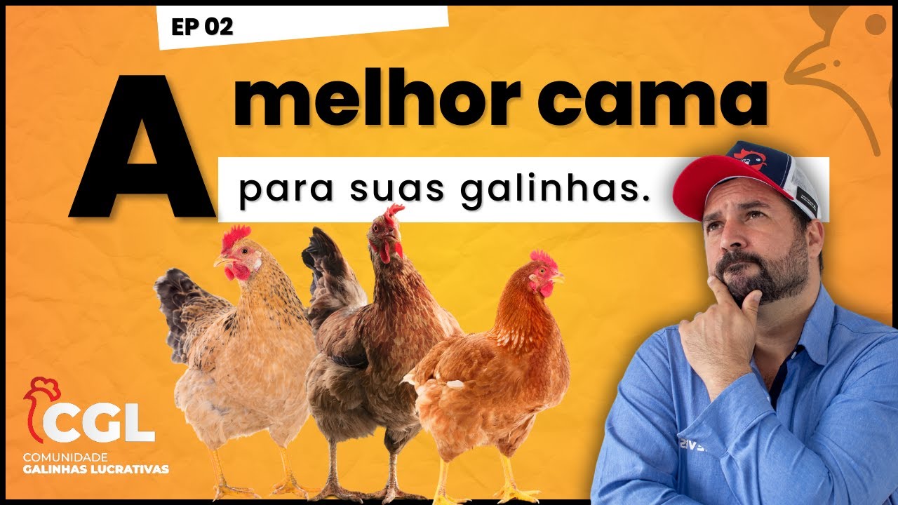 Criação de GALINHAS: Descubra a CAMA perfeita para suas aves | E2