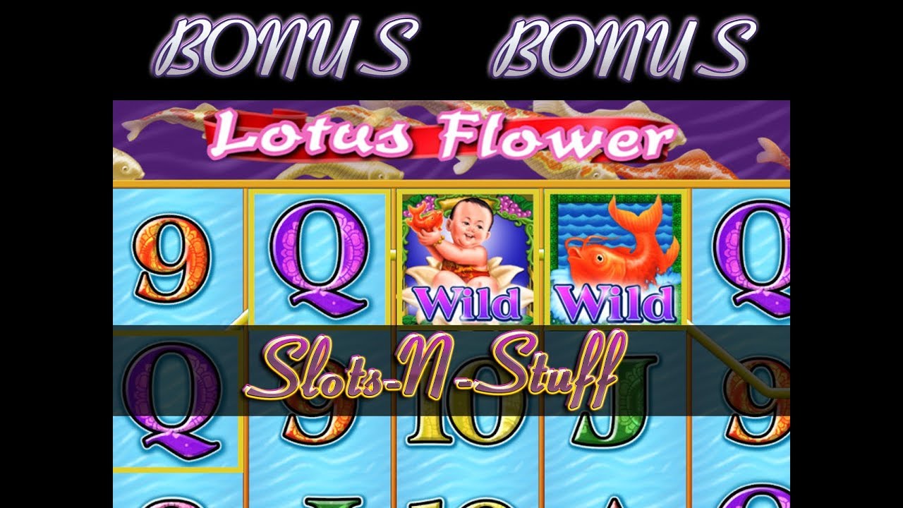 Lotus Flower High Limit Amazing session