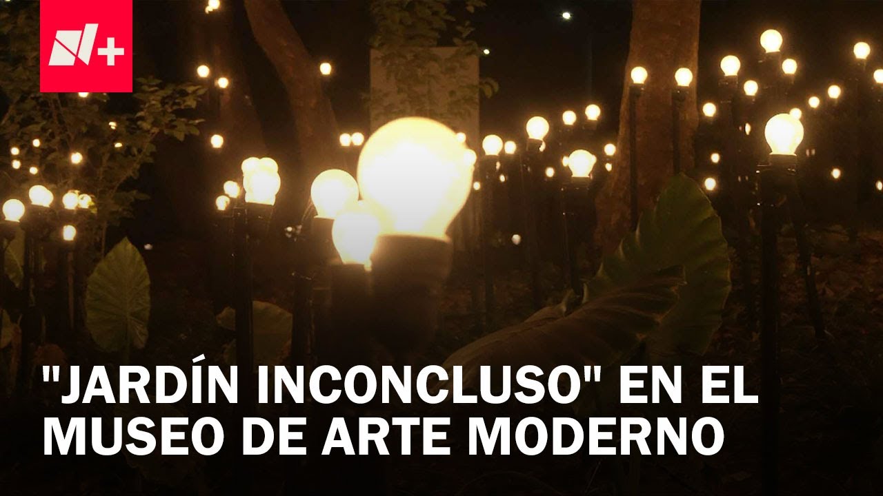 Llega 