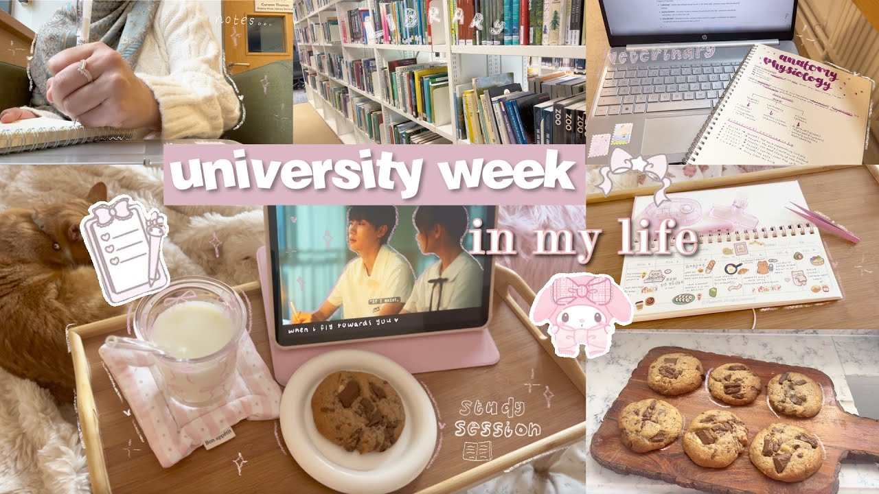 uni diaries 𝜗𝜚⋆₊˚ my first week at uni 🔖 study session 🌷lectures ⋆˙⟡ baking 🍪 vet student 🩺