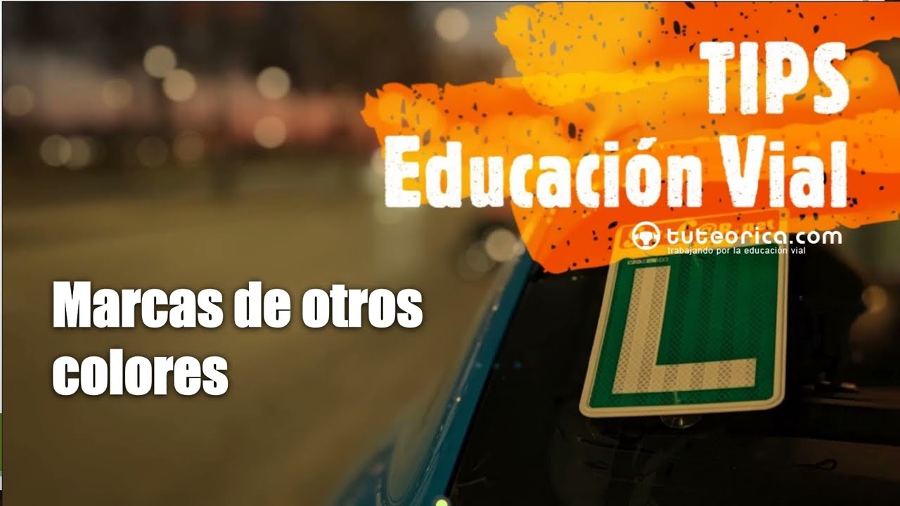 Conoce las marcas viales de otros colores. Diccionario vial para la teórica del carnet de conducir