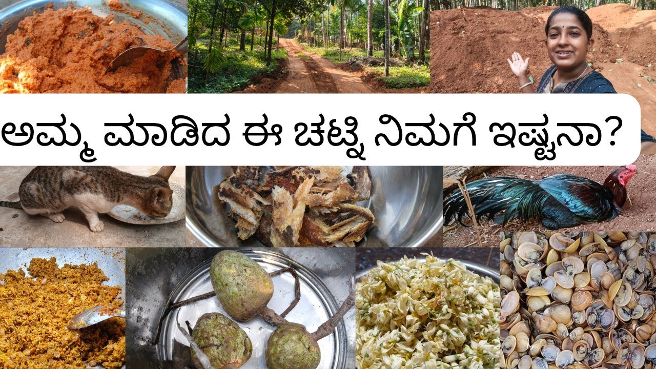 ತೋಟಕ್ಕೆ ಮಣ್ಣು ಹಾಕಿಸಿದ್ದು ಎಷ್ಟು ಹಣ ಆಯಿತು ಗೊತ್ತಾ?