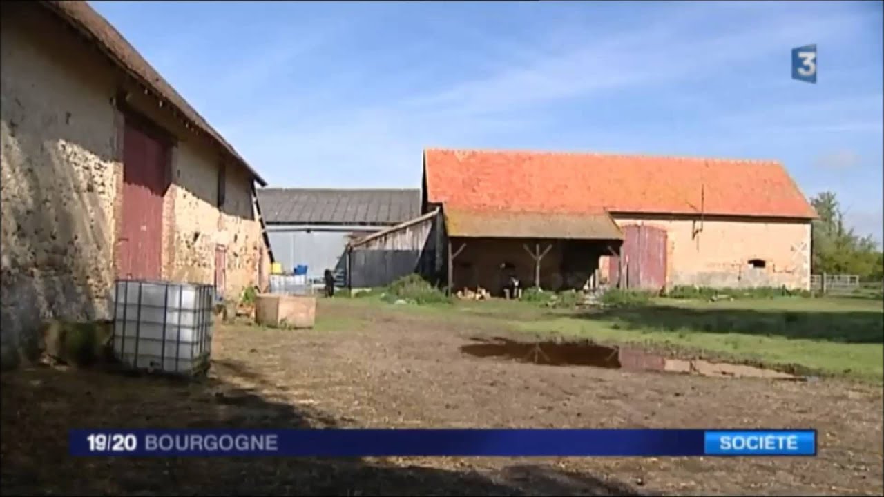 Le Domaine des Douages, un refuge pour animaux menacé