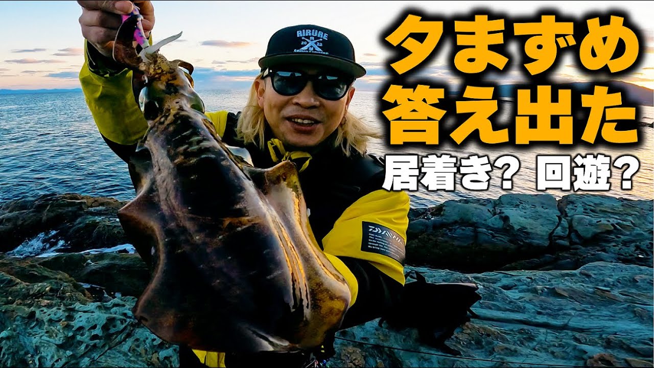 【エギング】居着き？回遊？狙い別で夕まずめ検証した結果…