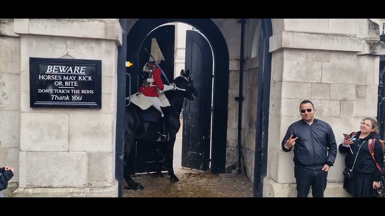 Horse is spooked in side the box guard tells tourist to get back #thekingsguard