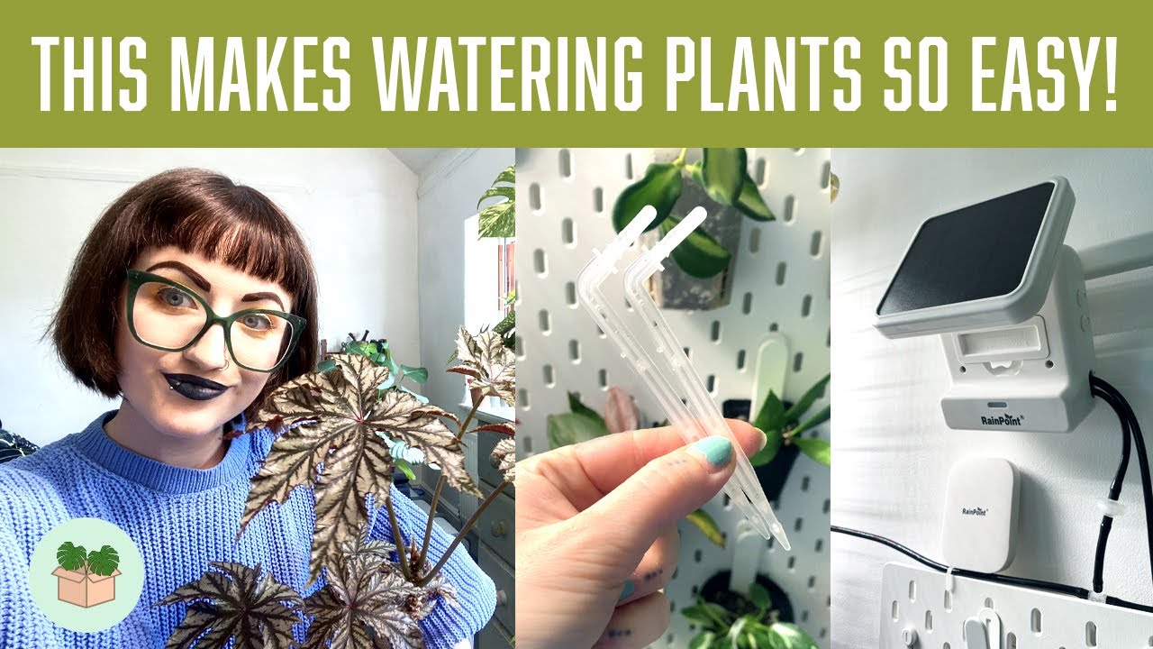 Easy hack to water your plants 💧(RainPoint solar powered irrigation system)