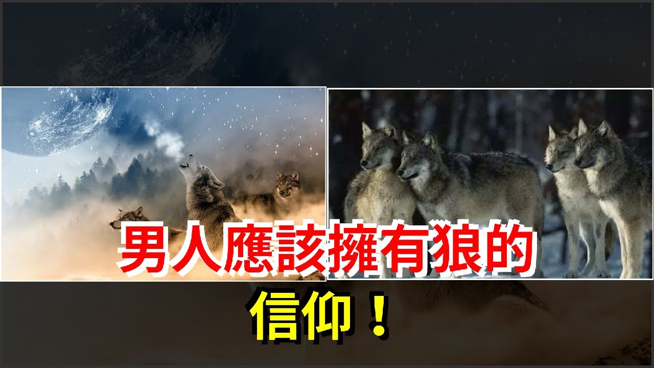 男人應該擁有狼的信仰！，[心靈驛站]