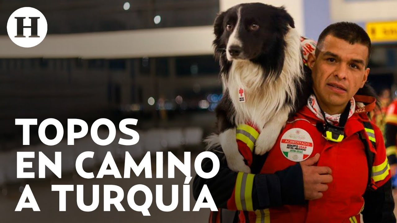 Topos de México, perritos rescatistas y elementos de la Sedena viajan a Turquía tras el terremoto