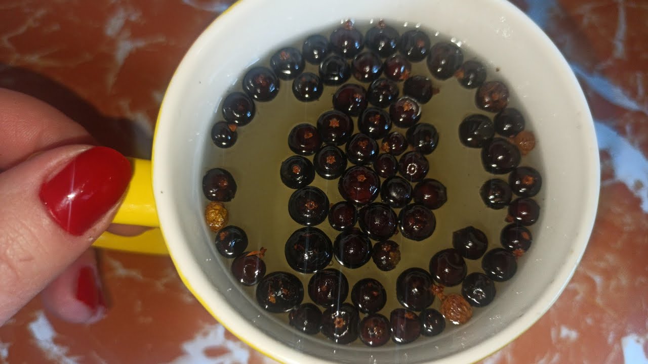 KLEKA - BILJKA KOJE SE SETIMO KADA POMISLIMO DA NEMA LEKA! PRIPREMA I NAČIN KORI&Scaron;ĆENJA