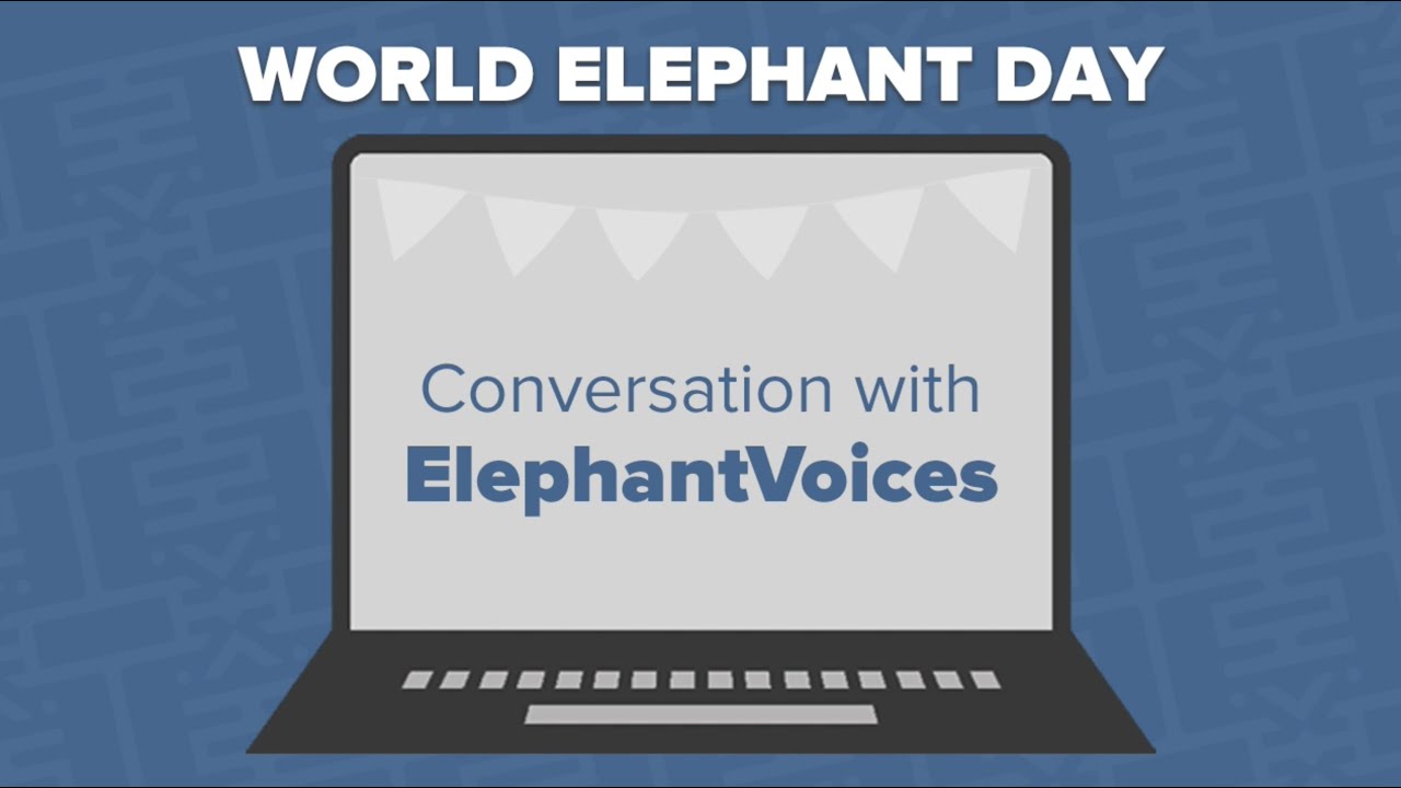 The Elephant Sanctuary | World Elephant Day Conversation with ElephantVoices
