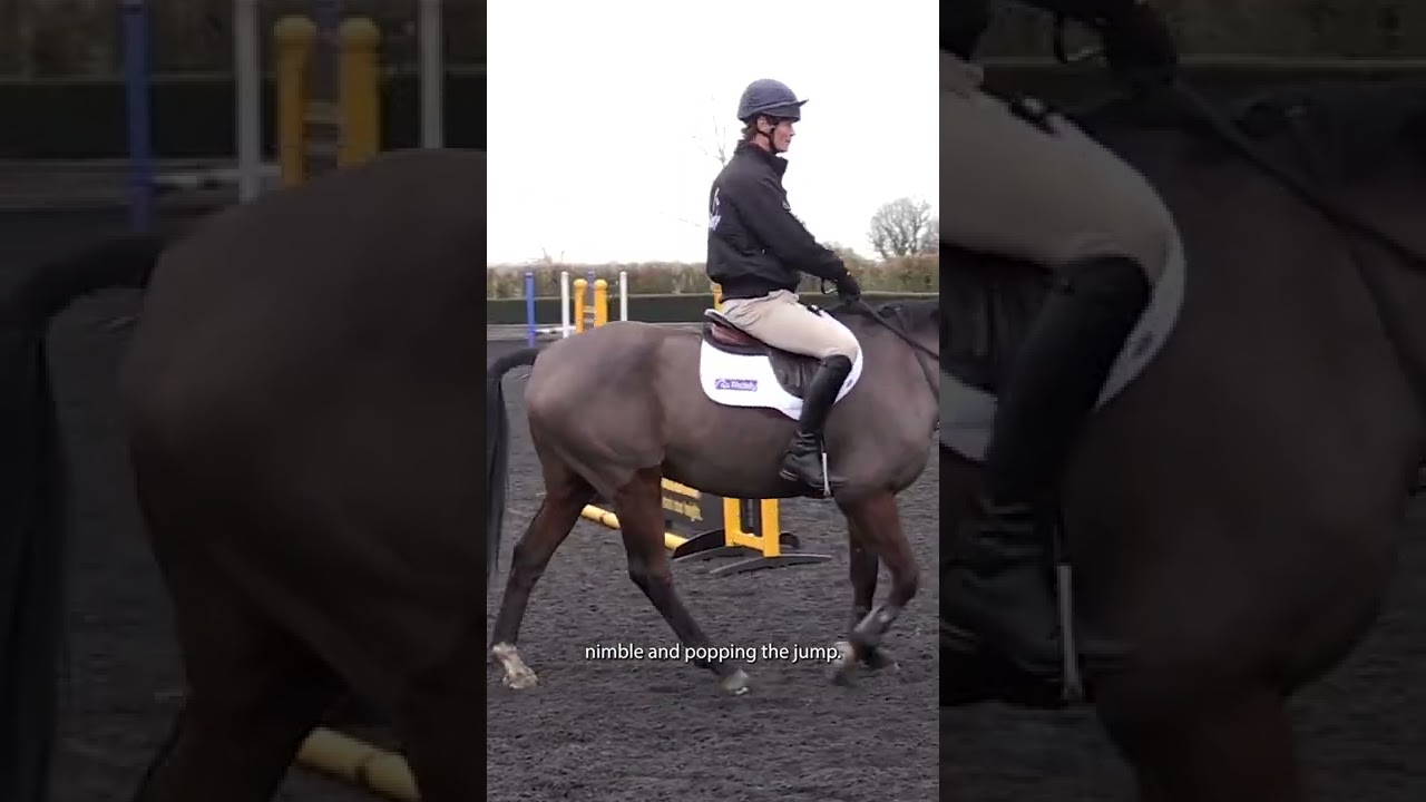 Introduce Show Jumps to Start the Season Training with William Fox-Pitt
