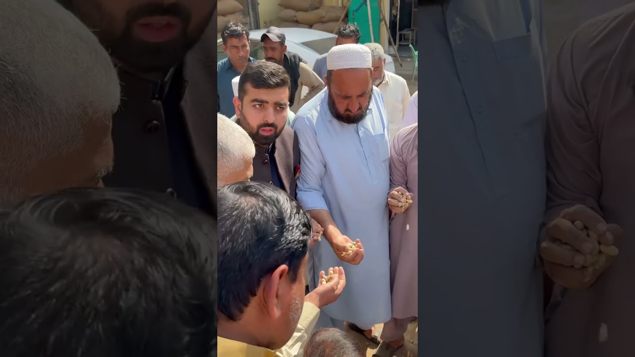 peanut update in Gujar khan 😲🥜33000