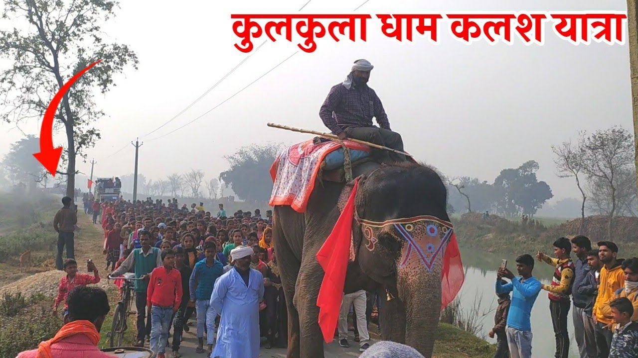कुलकुला धाम का कलश यात्रा||Kulkula dham ka kalash yatra||Kalash Yatra Kulkula dham|Kulkula dham mela