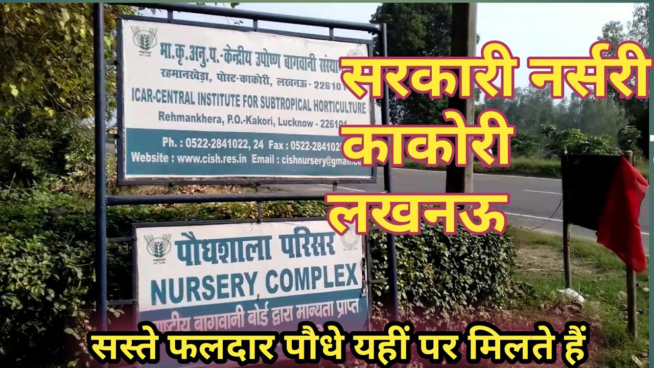 सरकारी नर्सरी दौरा काकोरी लखनऊ || Government Nursery Visit Kakori Lucknow