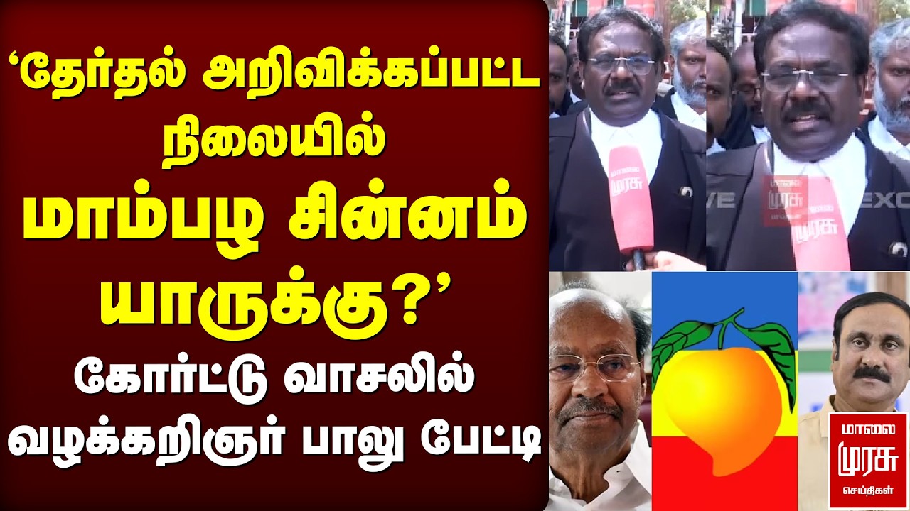 'மாம்பழ சின்னம் யாருக்கு?' | PMK Advocate Balu | Anbumani Ramadoss