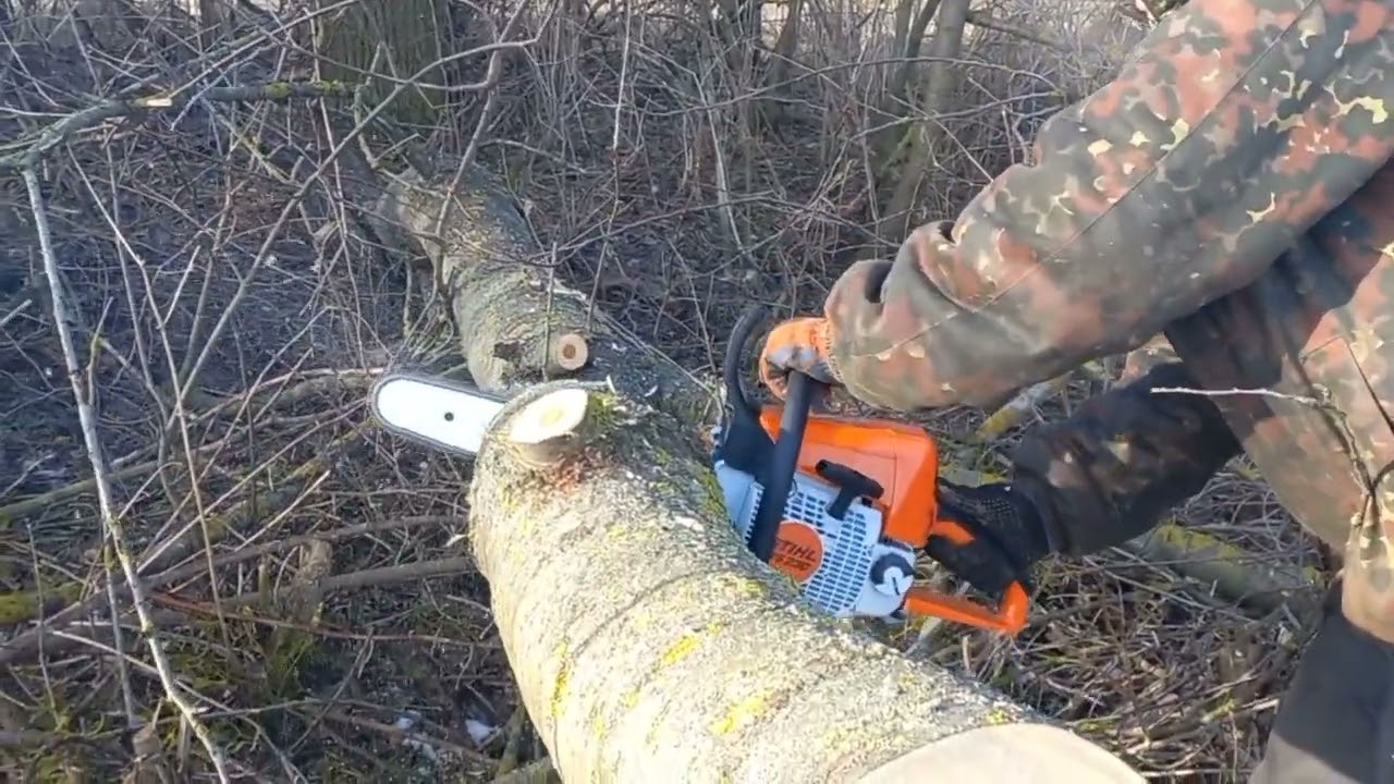 STIHL ШТІЛЬ 230 ОБКАТКА БЕНЗОПИЛИ ТА ЗАГОТІВЛЯ  ДРОВ МОТОБЛОКОМ ЗУБР ПОРІЗКА ЧЕРЕШНІ