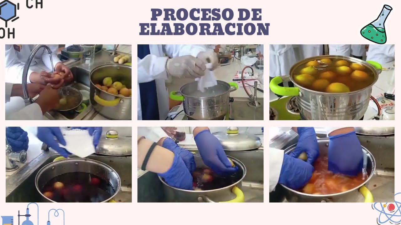 PRAC LAB 4 ELABORACIÓN DE CONSERVA DE DURAZNO BIOQUIMICA