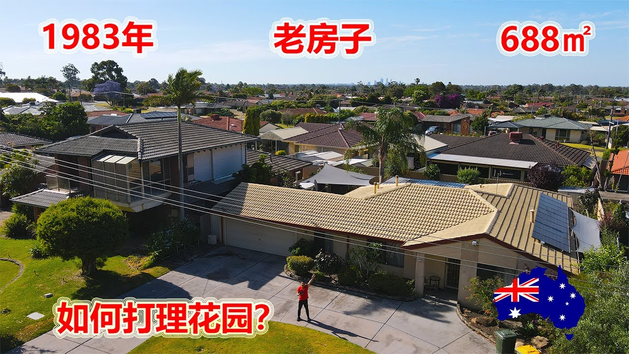 澳洲移民生活：我在澳洲珀斯1983的老房子有多少种树？如何打理花园？（4K）