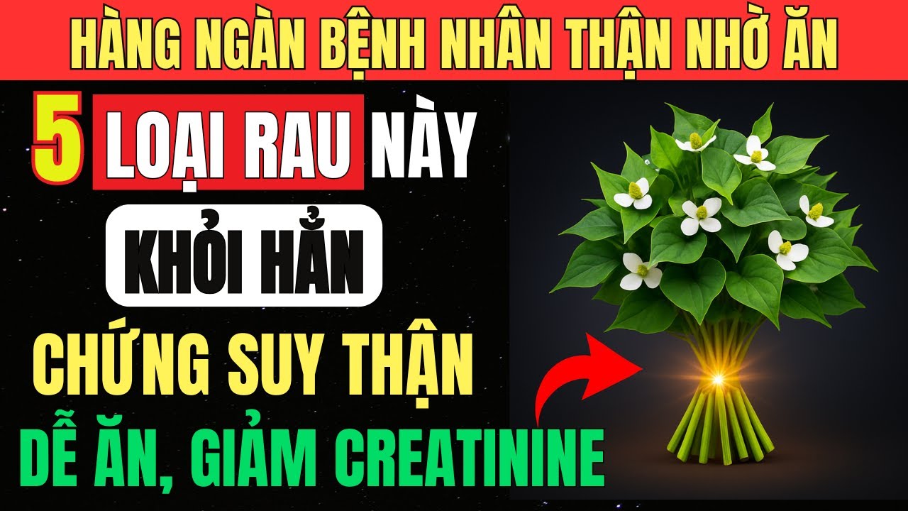 THẬN YẾU ĂN 5 LOẠI RAU GIÚP QUÉT SẠCH CREATININE, Thận KHỎE LÊN – Giảm Nguy Cơ CHẠY THẬN