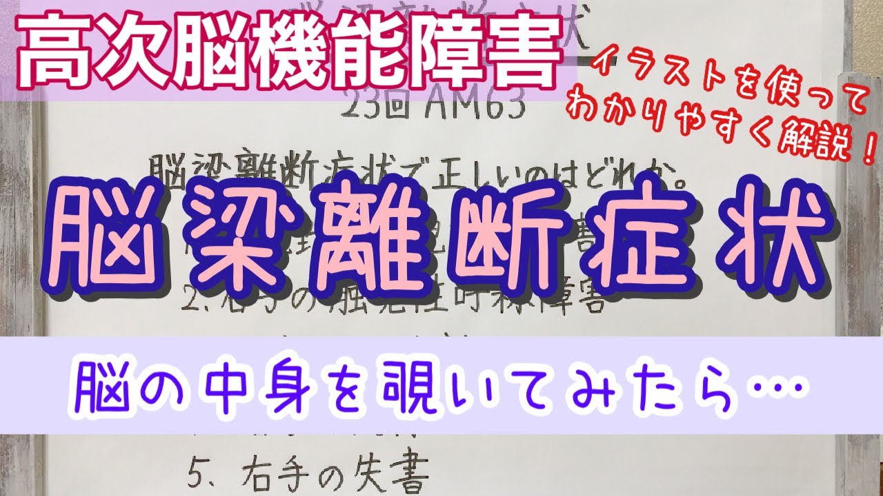 【解説】脳梁離断症状のややこしさ解消動画
