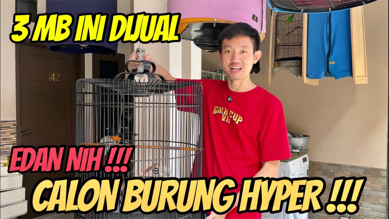 SIAPA CEPAT DAPAT !!! 3 MURAI BATU INI KOH SLAMET GMK JUAL !!!