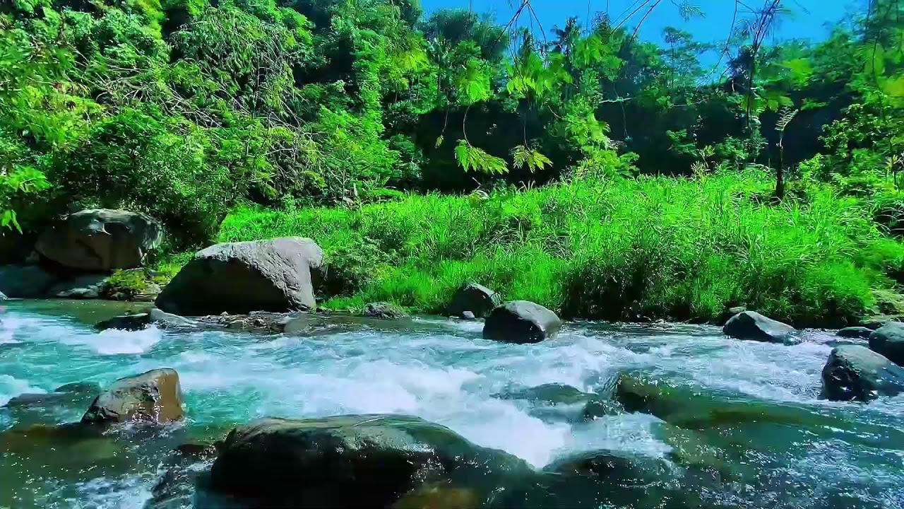 Mountain Stream Soft Water Flow, Forest River Audio, Sleeping