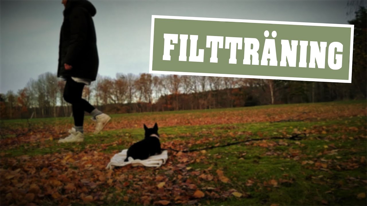 Filtträning