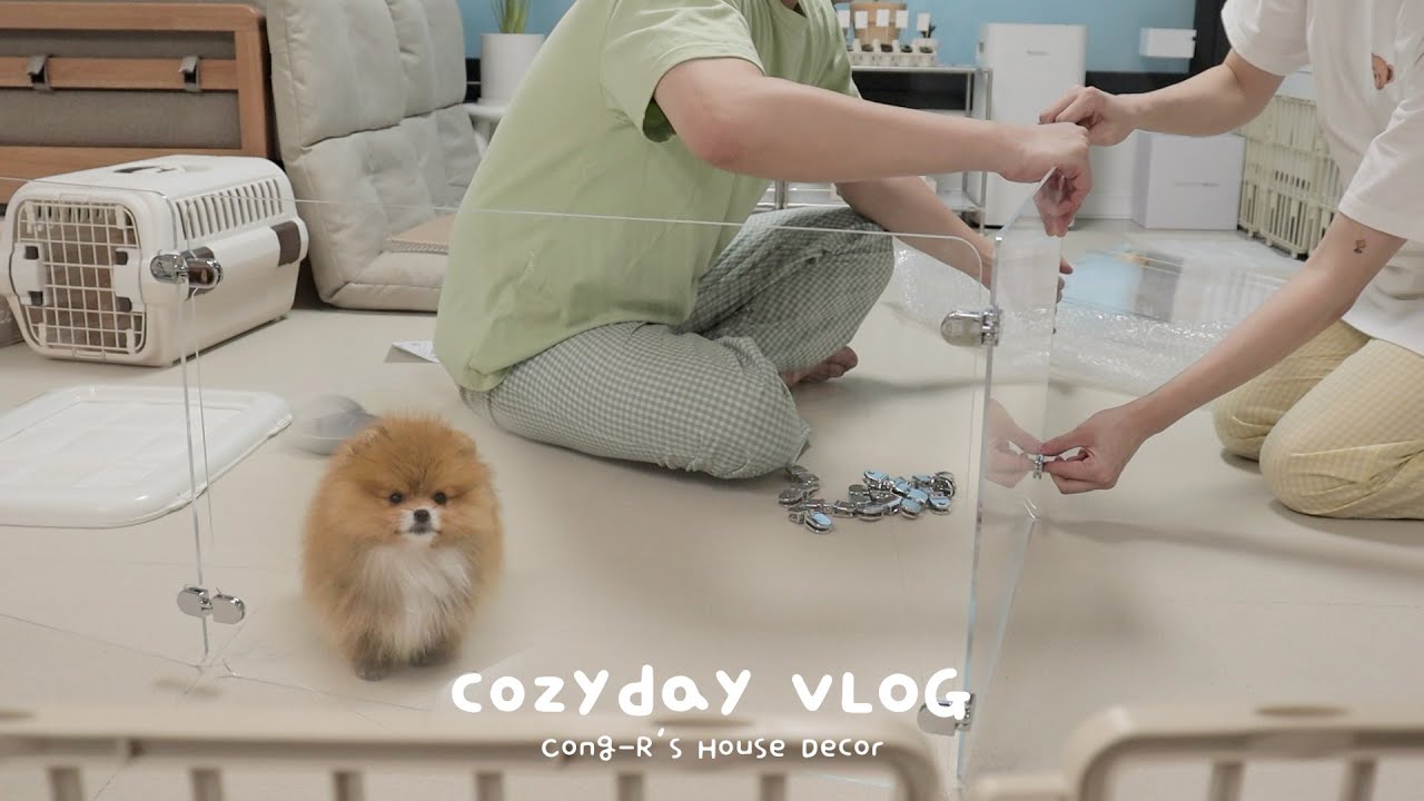 Sub) 20평 중에 10평 콩알이 집으로 꾸미기🐶🏠 짱쉬운 쑥머핀 베이킹, 오랜만에 다이소에서 찾은 취미키트 추천 | CozyDay