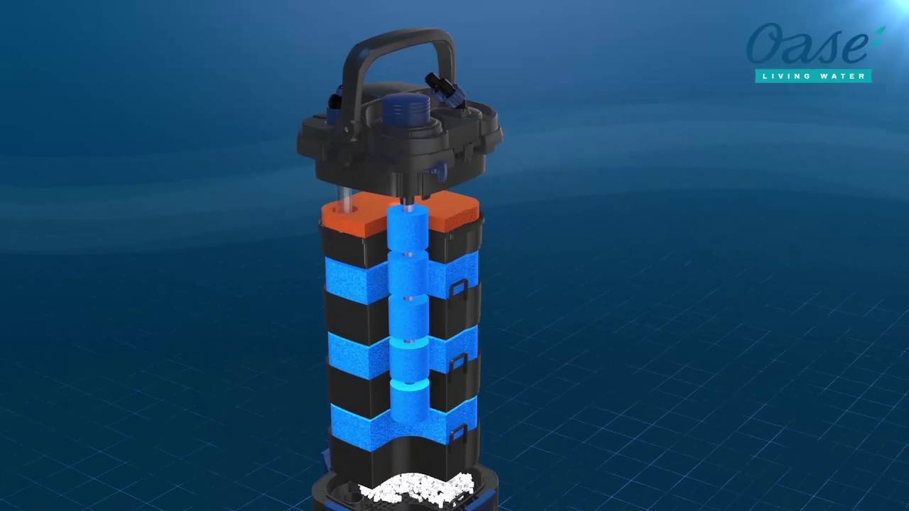 OASE BioMaster | English