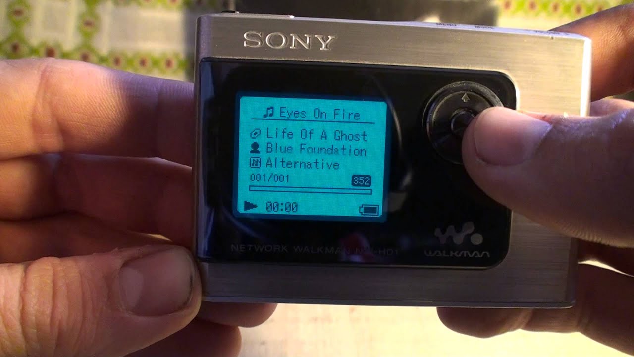 Sony NW-HD1