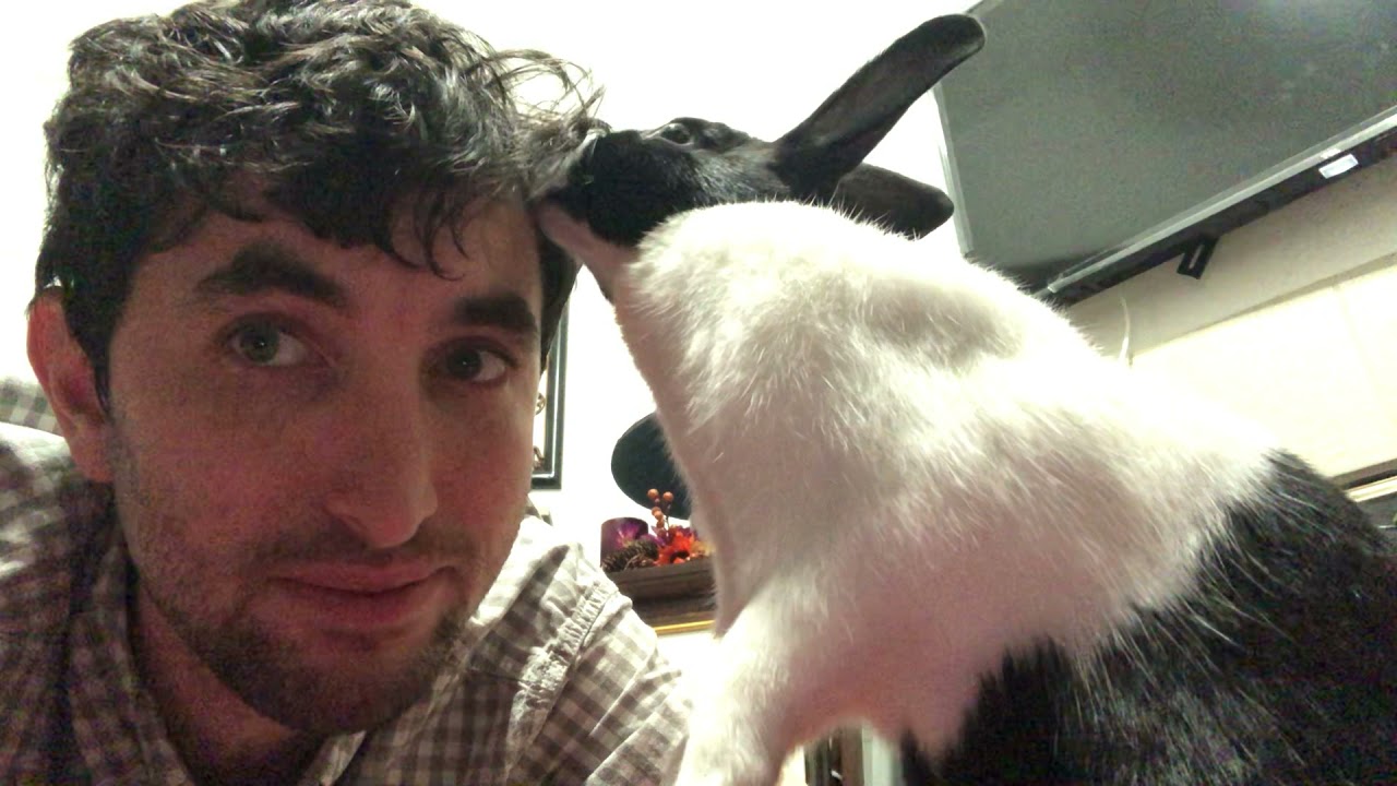 Pepper the Bunny Rabbit Won't Stop Licking Me!
