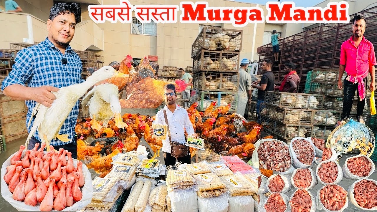 Delhi murga mandi rates today near me| ghazipur murga mandi directory price|गाज़ीपुर मुर्गा 🐓 मंडी |