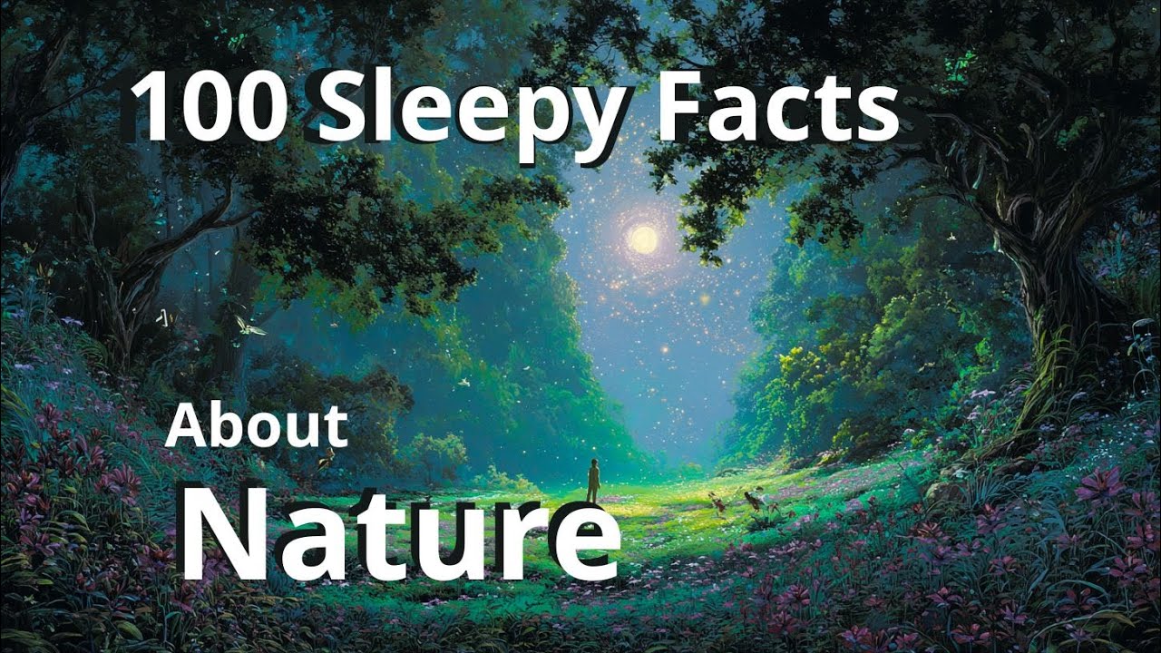 The Quiet Wonders of Earth — Relaxing Nature Facts to Fall Asleep To