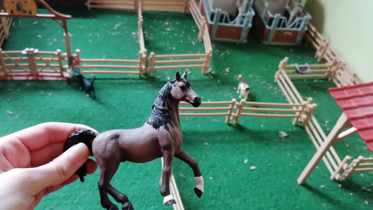 Pferd ab in deine Box! 🐴❤️ Happy Horse