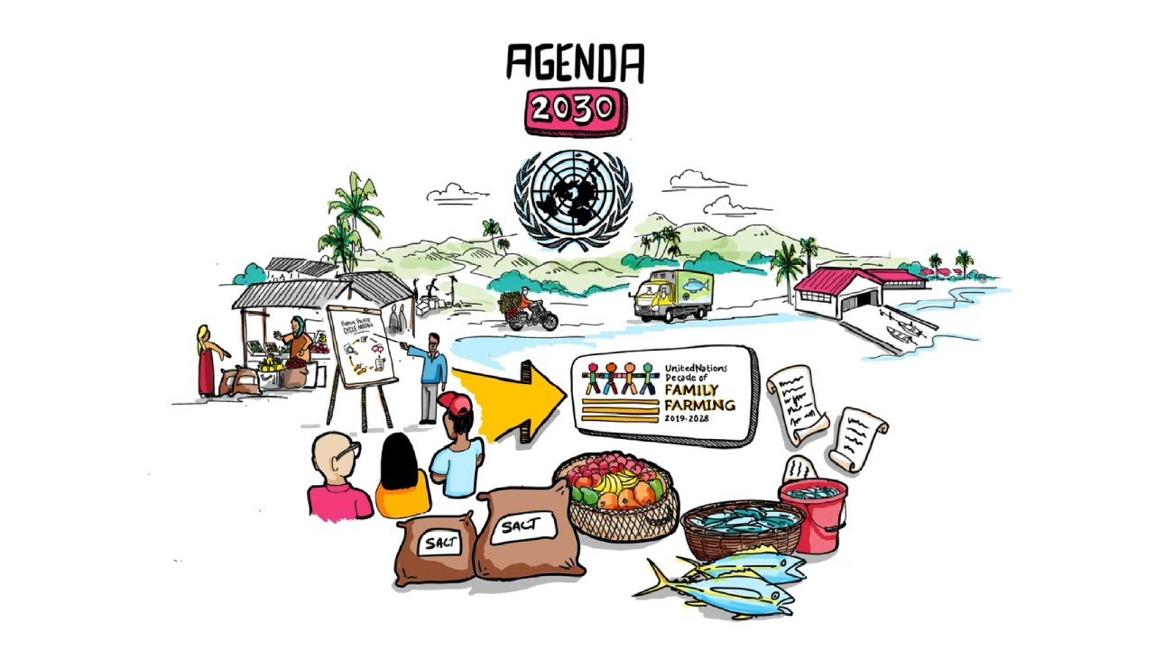 The Public Policy Cycle for Family Farming &ndash; United Nations Decade of Family Farming (2019-2028)