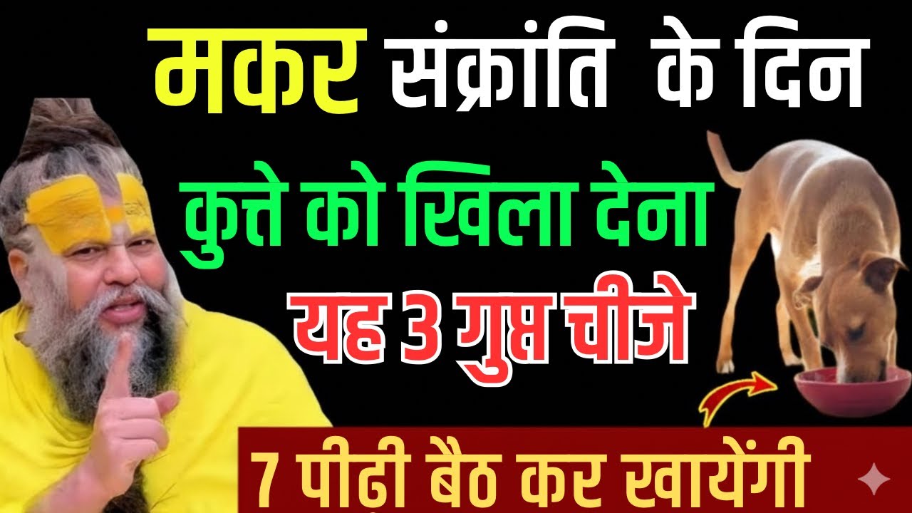 गरीबी का काल खत्म करना है? मकर संक्रांति पर कुत्ते को ये 3 चीज़ ज़रूर खिला || #premanandjimaharaj