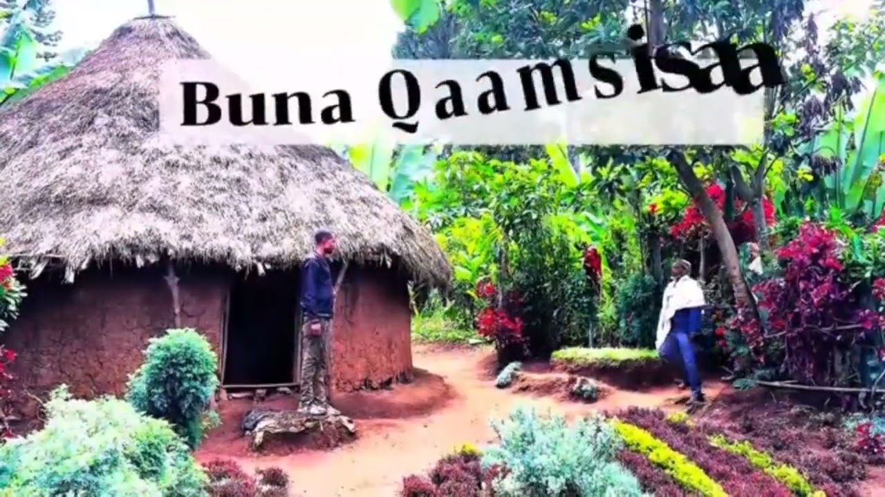 Cidha Abbaa Tamaam Laaloo gutuu isaa Aadaa fuudhaafi heerumaa hawaasa jimma 