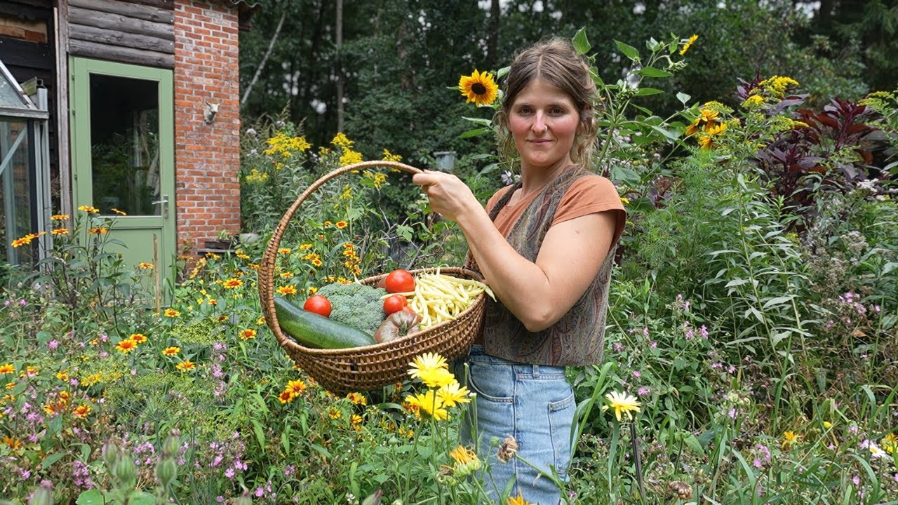 August Abundance on the Homestead | Harvesting, Haymaking and Turning 30!