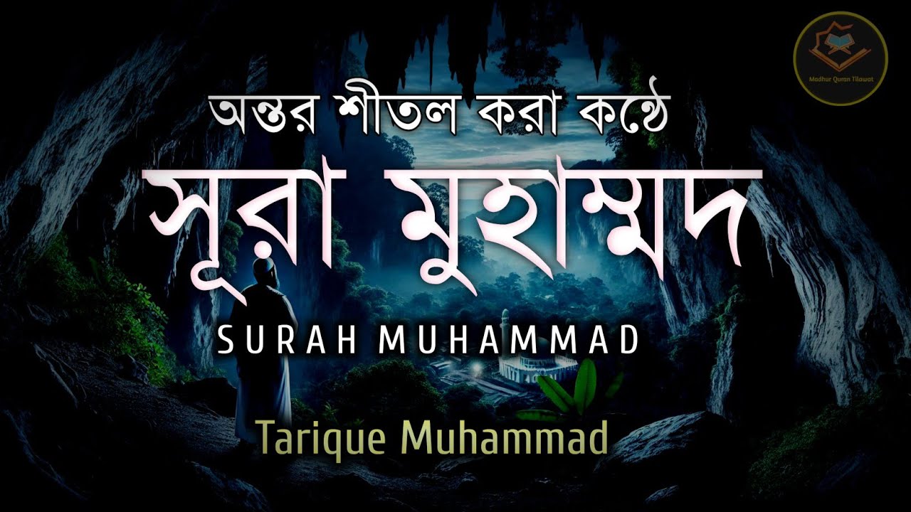 সূরা‌ মুহাম্মদ - অন্তর শীতল করা কন্ঠে (سورة محمد) Surah Muhammad| By- Tarique Muhammad