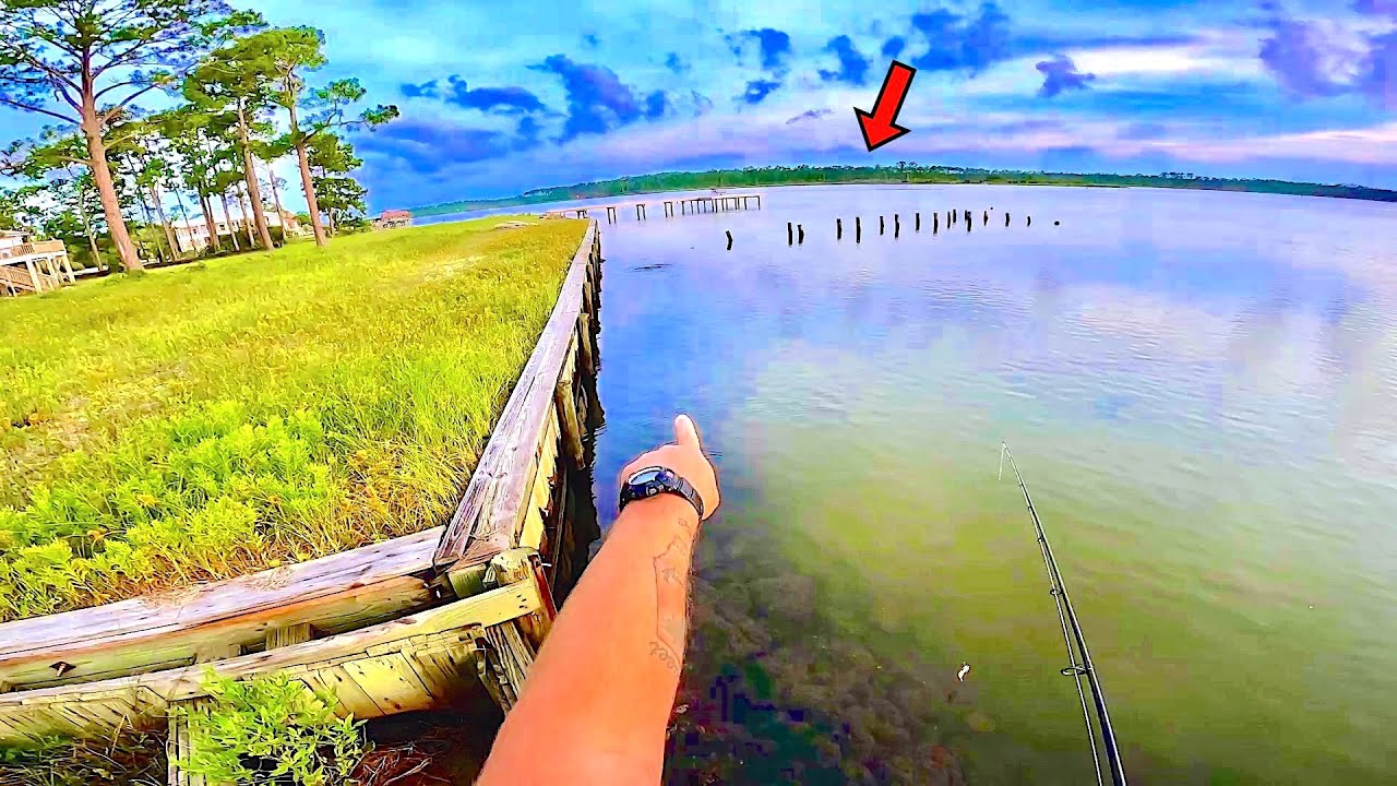 Fishing from my Backyard Seawall and Caught something HUGE!
