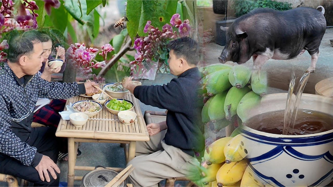 Year of Raising a Pig, One Warm Meal for Parents | Ăn cơm cùng Bố Mẹ