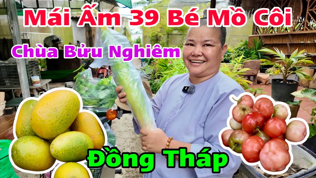 Mái Ấm 38 Bé Mồ Côi Chùa Bửu Nghiêm Đồng Tháp Nhận Tấm Lòng Cô Thảo Cô Trâm | Khương Nhựt Minh