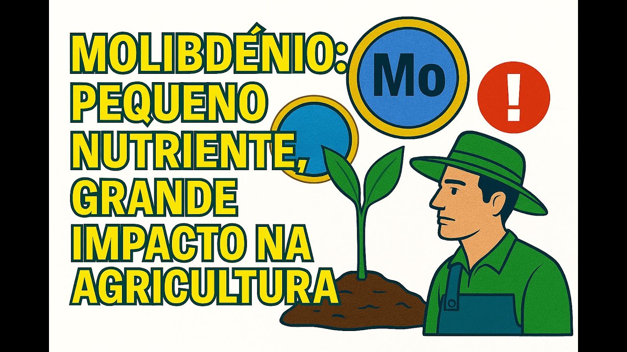 Molibd&ecirc;nio: Pequeno Nutriente, Grande Impacto na Agricultura