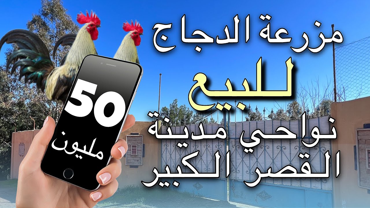 مزرعة للبيع تمن 50 مليون مساحة 2500م نواحي مدينة #القصرالكبير