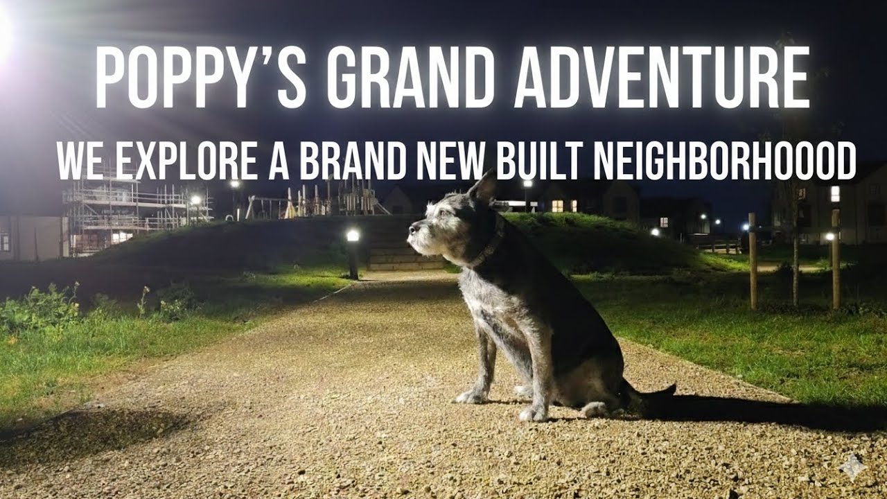 Poppy&rsquo;s Grand Adventure: Exploring a Brand New Neighborhood and park 🐾✨