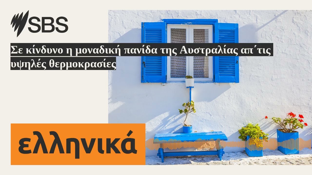 Σε κίνδυνο η μοναδική πανίδα της Αυστραλίας απ΄τις υψηλές θερμοκρασίες | SBS Greek - SBS Ελληνικά